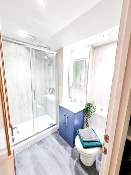 Gorgeous Newly Renovated 2 Double Bed Flat Lejlighed Swansea Eksteriør billede